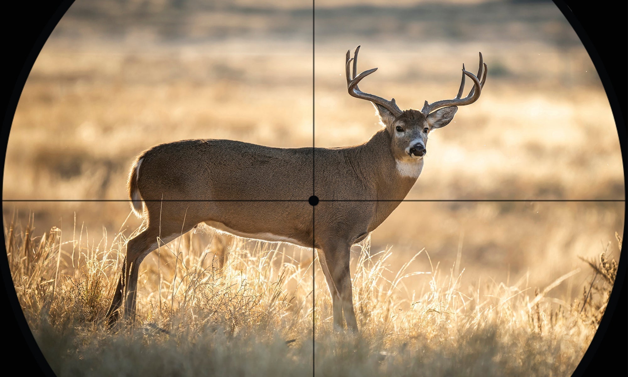 7 Mistakes Hunters Make After the Shot (And How to Avoid Them)