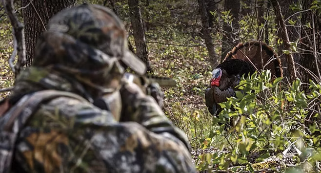 Beginner's Guide to Turkey Hunting in Michigan