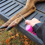 Hunter using a pink Doe Cuffs handle with the steel cable loop secured around a whitetail deer's legs