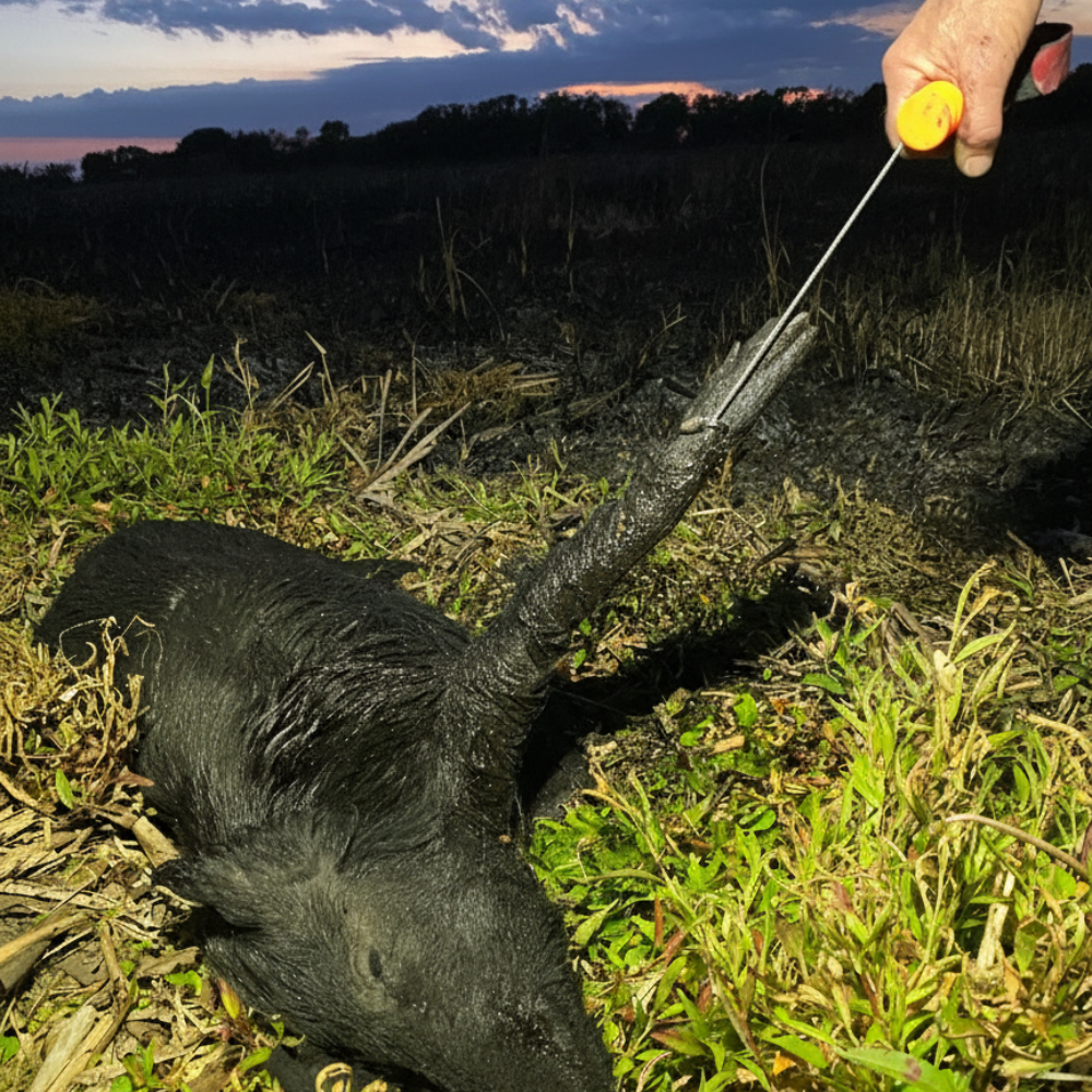 Predator Wild Game Cuffs