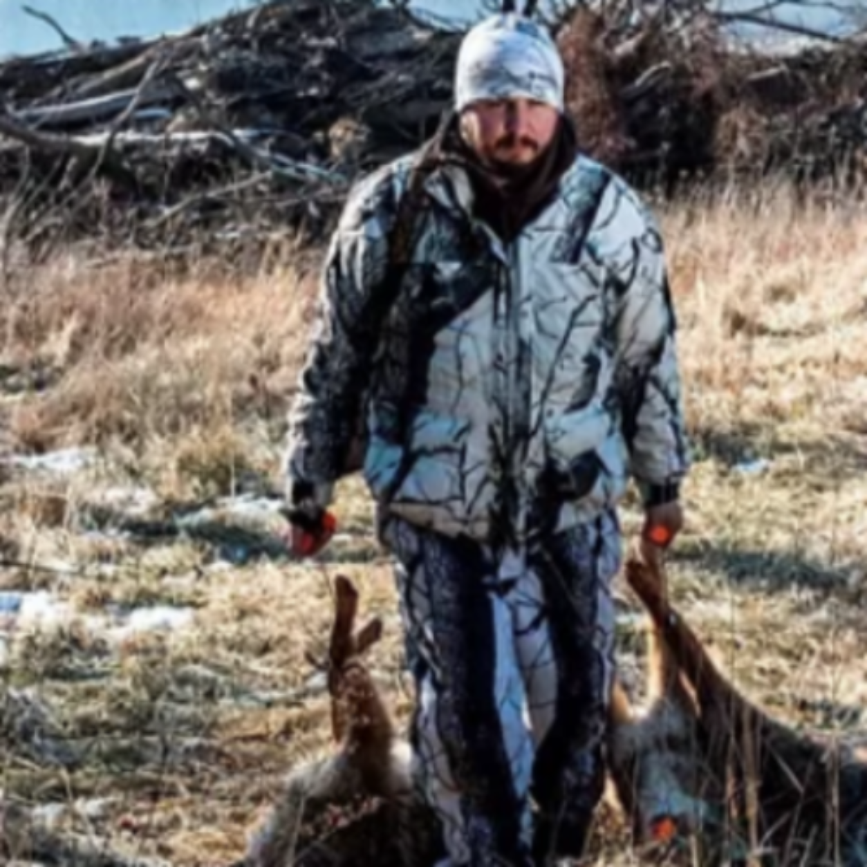Hunter using Predator Cuffs to carry two harvested coyotes through a field