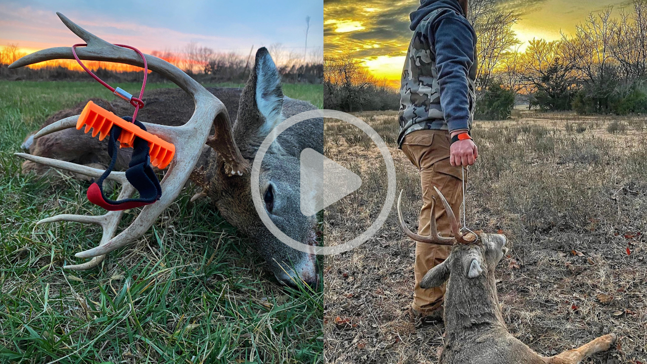 buck cuffs product demo - best deer drag product